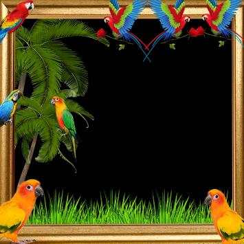 Parrot Photo Frame screenshot 3