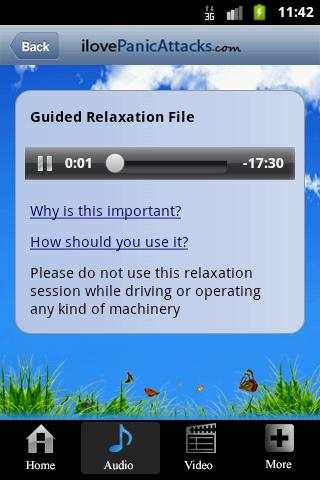 Panic Attacks? screenshot 3