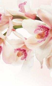 Orchide Glamour live wallpaper screenshot 1