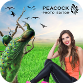 Peacock Photo Editor : Peacock Photo Frames icon