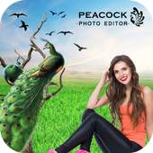 Peacock Photo Editor : Peacock Photo Frames 1.0