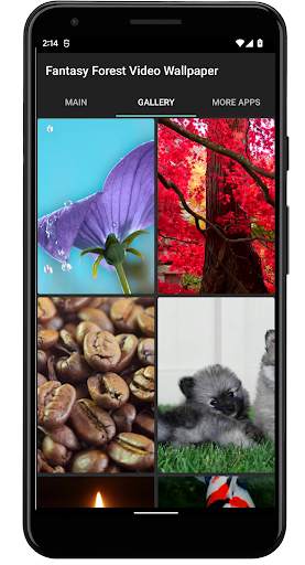 Dog Licks Screen Wallpaper screenshot 3