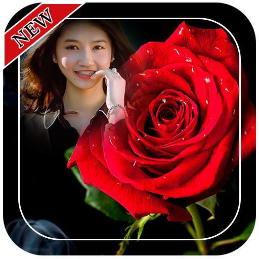 Red Rose Photo Frames 1.5