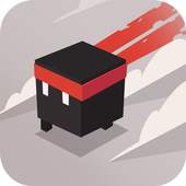 This is Ninja 1.2