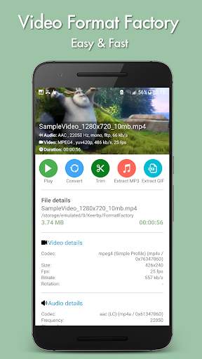 Video Format Factory screenshot 9