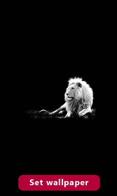 Black AMOLED Wallpaper screenshot 2