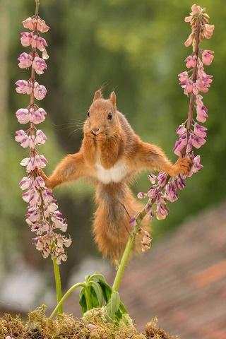 Funny pictures 53 screenshot 2