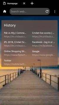Neo Browser screenshot 2