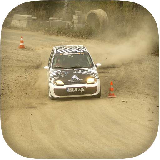 Rally Car Racing Simulator 3D 1.0
