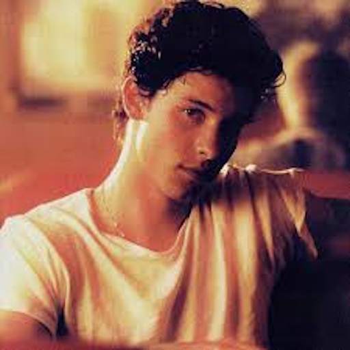 Shawn Mendes Without internet 1.0