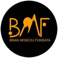 Visit Bran - Travel App logo