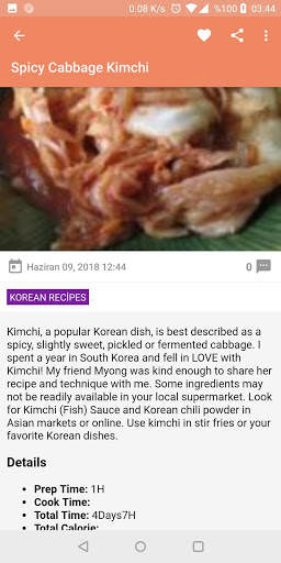 World Cuisine Recipes screenshot 4