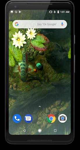 Koi Fish Video Live Wallpaper screenshot 4