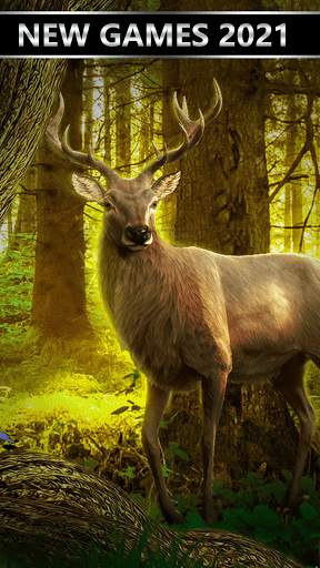 Wilderness Hunting ： Shooting Prey Game screenshot 6