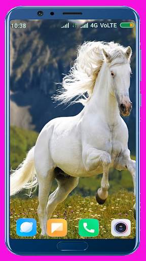 Horse Wallpaper screenshot 4