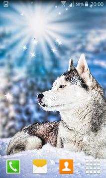 Husky Live Wallpapers स्क्रीनशॉट 1