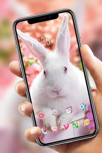 Flower And White Rabbit Have A Spirit theme screenshot 4