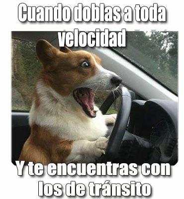 Imagenes chistosas screenshot 24