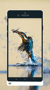 Bird Wallpaper screenshot 6