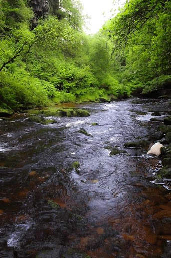 River Live Wallpaper screenshot 3