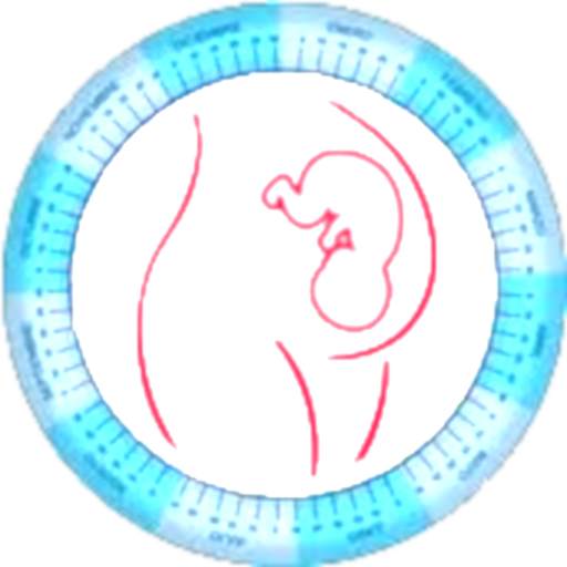 Dextograma (Gestogram) 2.4