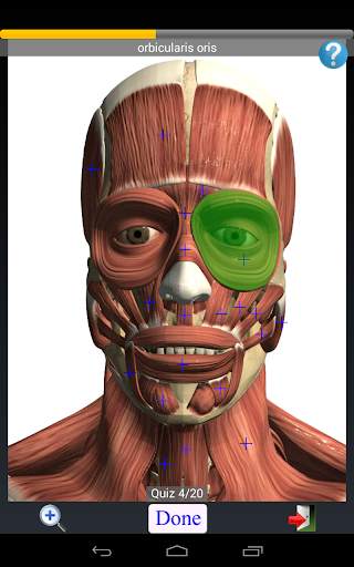 Anatomy Quiz скриншот 10