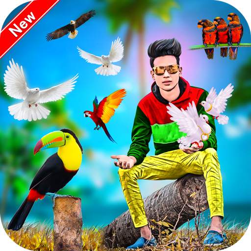 Bird Photo Editor 1.0