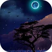 Real Live Weather Wallpaper 1.1
