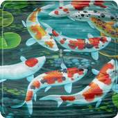 Koi Free Live Wallpaper 2.0