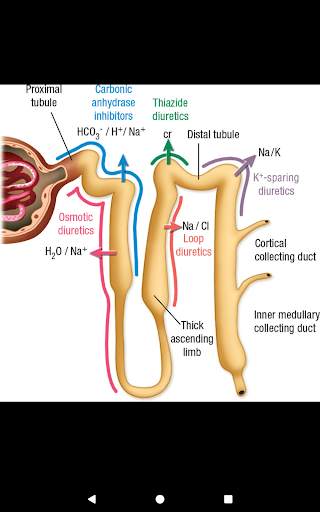Anesthesiology, Third Edition screenshot 16