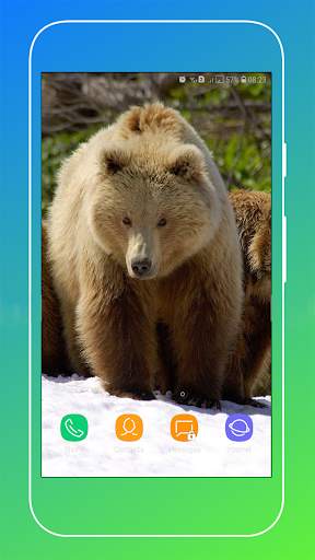New Polar Bear Wallpaper screenshot 9