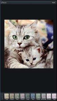 Photo Editor Professional screenshot 1