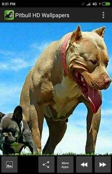 Pitbull HD Wallpapers 2019 screenshot 5