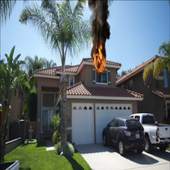 Fire Simulations 1.4