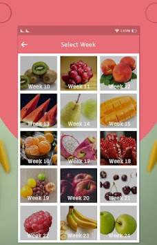 Pregnancy Week By Week screenshot 4
