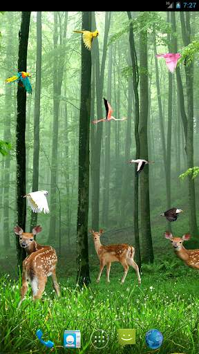 Rain Forest Live Wallpaper screenshot 3