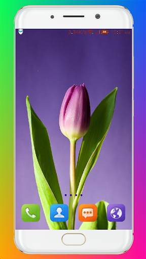 Purple Flower Wallpaper screenshot 16