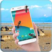 Ants on Screen funny Prank App - Animated écraser