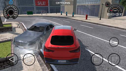 Realistic Cars Driving screenshot 3