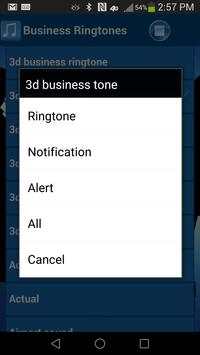Business Ringtones SMS Tones screenshot 4