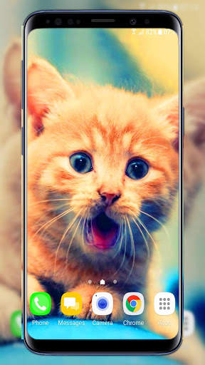 Cats Live Wallpaper screenshot 3