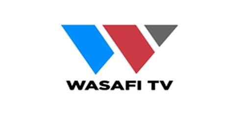 Wasafi TV TZ screenshot 3