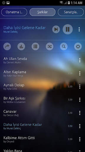 Mp3 çalar screenshot 9