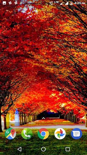 Autumn Wallpaper HD screenshot 1