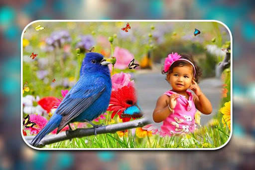 Birds Photo Frames screenshot 5