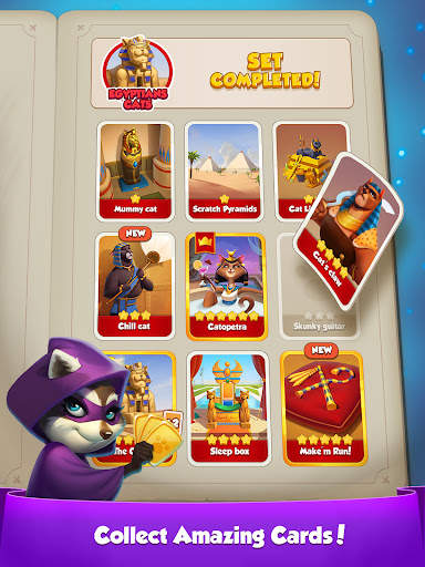 Pet Master screenshot 10