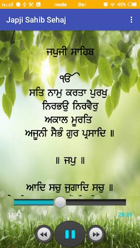 Japji Sahib Path Audio screenshot 5