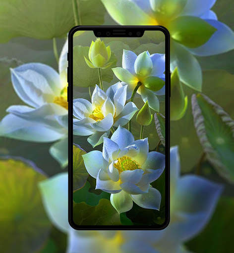 Flower Wallpapers 4K скриншот 3
