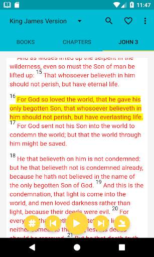 Audio Bible screenshot 4
