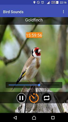 Relax & Sleep with Bird Sounds screenshot 2